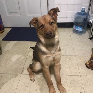 Meet your Posher, Geovanni